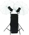Bowens Gemini 200Rx Twin Head Umbrella Kit (BW4755TX)