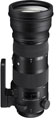 Sigma 150-600mm f5-6.3 DG OS HSM S Lens (Sigma Fit) With 1.4x Teleconverter