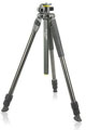 Vanguard Alta Pro 2+ 264CT Tripod