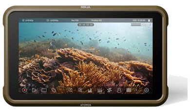 Compare Prices on the Atomos Ninja