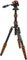 3 Legged Thing Punks Corey 2.0 with Airhed Trinity Kit best UK price