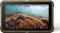 Atomos Ninja best UK price