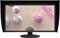Eizo ColorEdge CG319X 31 Inch Monitor best UK price