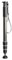 Gitzo GM4542 Series 4 Carbon eXact 4 Section Monopod best UK price