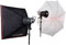 Interfit INT352 EX150 MKIII Twin Head Kit best UK price