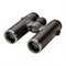 Swarovski CL Companion 8x30 Nomad Binoculars best UK price